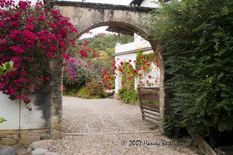 Hacienda Jalisco Color No-1330.jpg